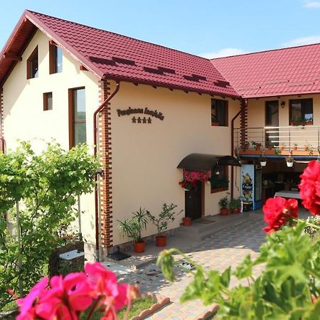 Pensiunea Luminita Mustatesti Ngoại thất bức ảnh
