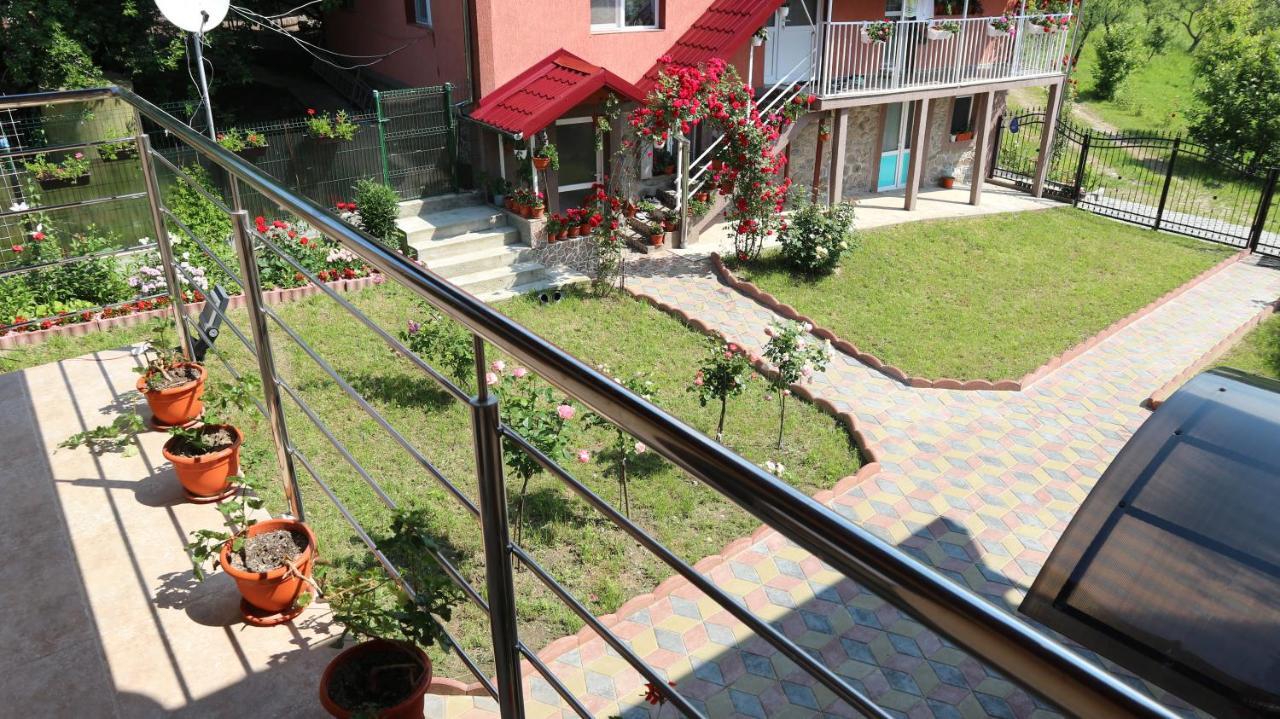 Pensiunea Luminita Mustatesti Ngoại thất bức ảnh