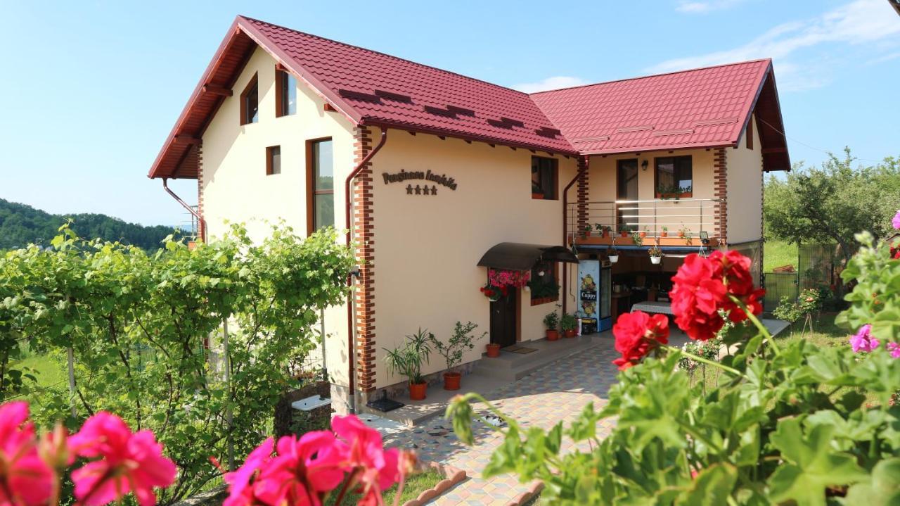 Pensiunea Luminita Mustatesti Ngoại thất bức ảnh