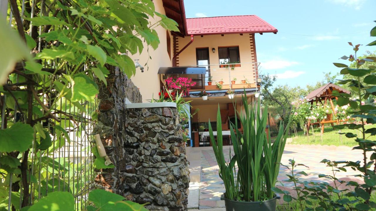 Pensiunea Luminita Mustatesti Ngoại thất bức ảnh